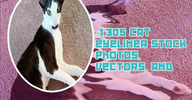 Cat with eyeliner